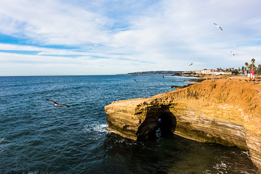 San Diego, USA - December 3, 2015: Sunset cliffs with flying seagulls in San Diego, California