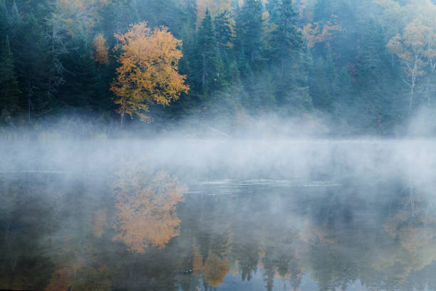 istock Autum landscape in the morning 538991672