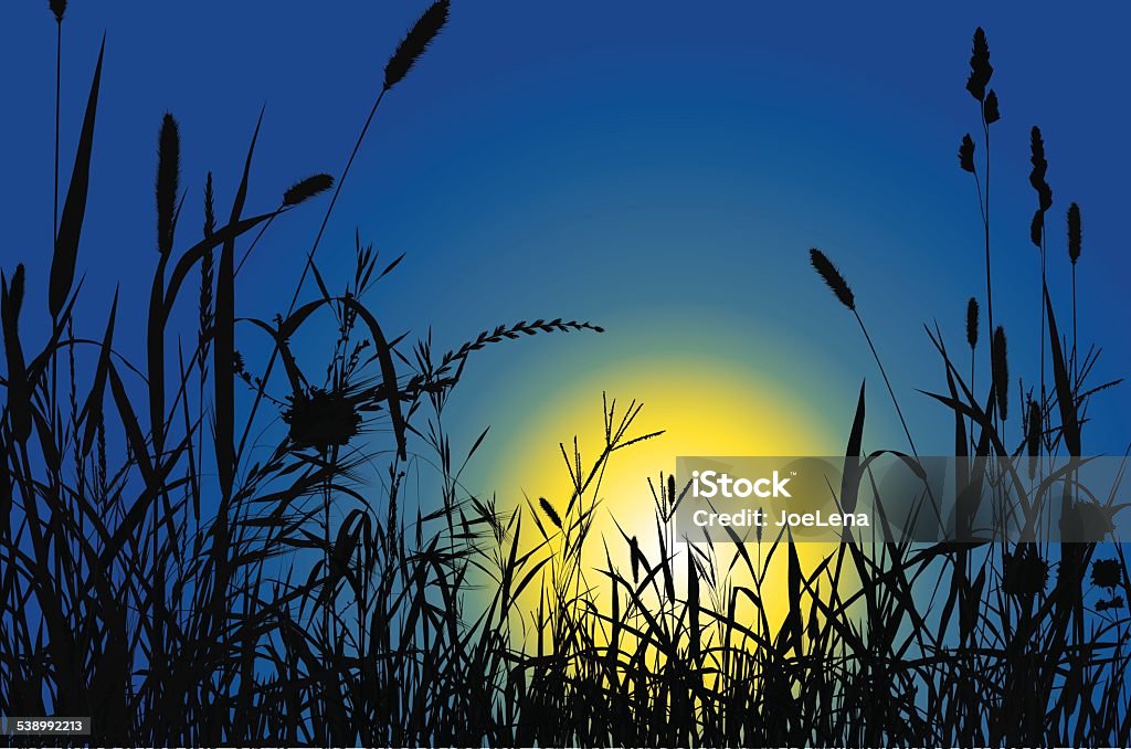 Silhouette Grass And Sunset Silhouette grass on the sunset background. EPS8. In Silhouette stock vector