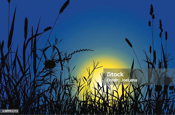 Silhouette Grass And Sunset Stock Illustration - Download Image Now - In Silhouette, Nature, 2015