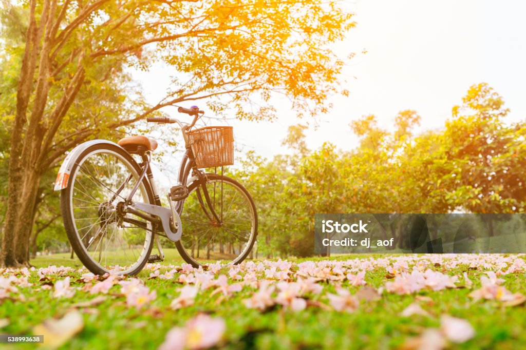 Gặp gỡ với bộ sưu tập hình ảnh phong cảnh xe đạp huyền thoại với hoa trên sàn nhà. Những bức ảnh này sẽ đưa bạn đến những miền quê yên bình và đẹp nhất của Việt Nam, nơi có nhiều chiếc xe đạp thông thường được trang trí bằng những bông hoa xinh đẹp. Hãy cùng chiêm ngưỡng vẻ đẹp của phong cảnh và chiếc xe đạp trên từng bức ảnh.