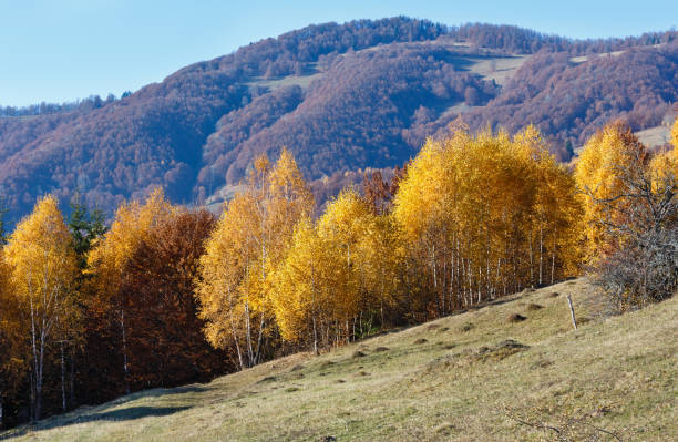 istock Golden autumn in mountain. 538996030