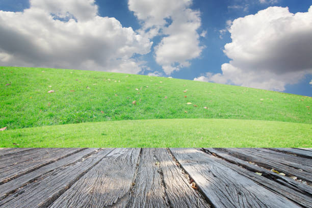 istock The landscapes background blue sky with clouds retouch 538997524