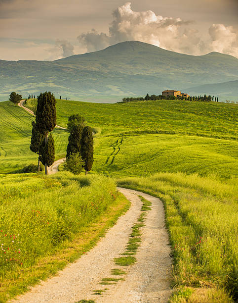 Winding road in Tuscany Winding road in Tuscany with farmhause at sunset italian cypress stock pictures, royalty-free photos & images