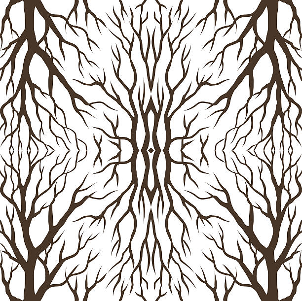 korzeń tło - root paper black textured stock illustrations