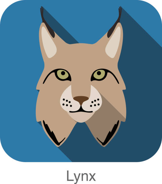 bildbanksillustrationer, clip art samt tecknat material och ikoner med lynx, cat breed face cartoon flat icon design - lodjur