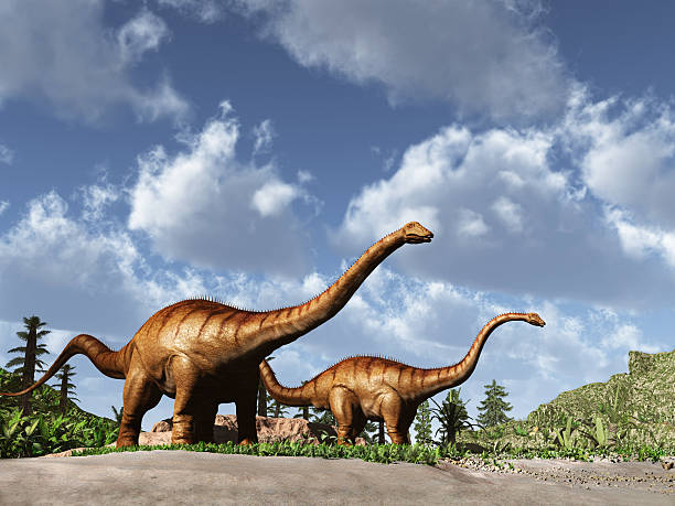 Two dinosaurs Diplodocus stock photo
