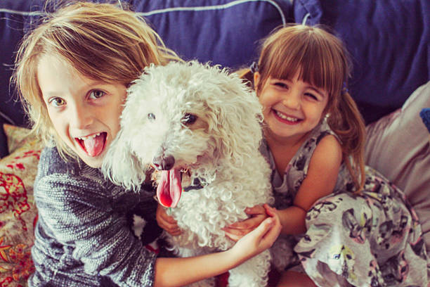 istock dog family 539000308