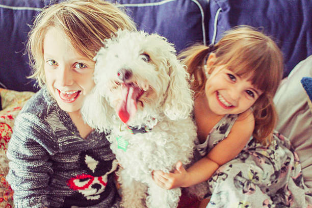 istock Happy dog family 539000446