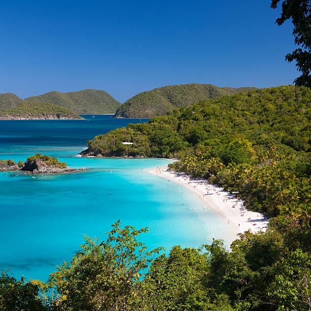 istock high angle view of Trunk Bay Beach, St.John, USVI 539000557