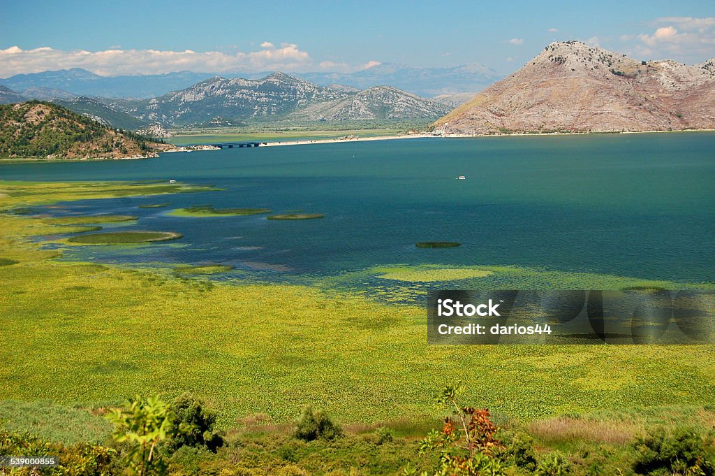 Gorgeous picturesque scene of Lake Skadar in Montenegro 2015 Stock Photo