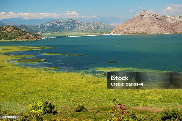 Gorgeous Picturesque Scene Of Lake Skadar In Montenegro Stock Photo - Download Image Now