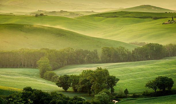 paysage de la toscane - morning italy shadow sunlight photos et images de collection