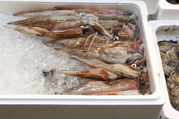 Squid for sale in the Tsukiji Fish Market in Tokyo