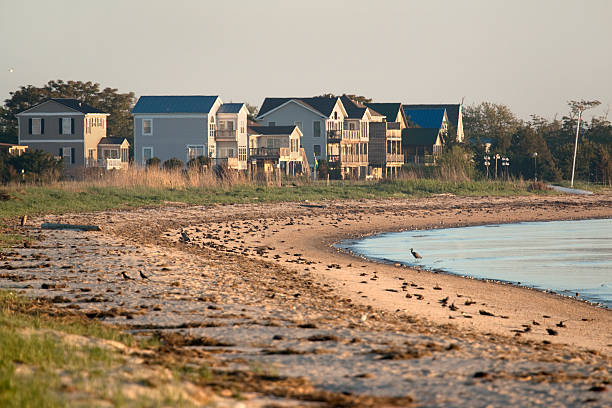Horseshoe crabs herons shorebirds Slaughter Beach homes Delaware Bay stock photo