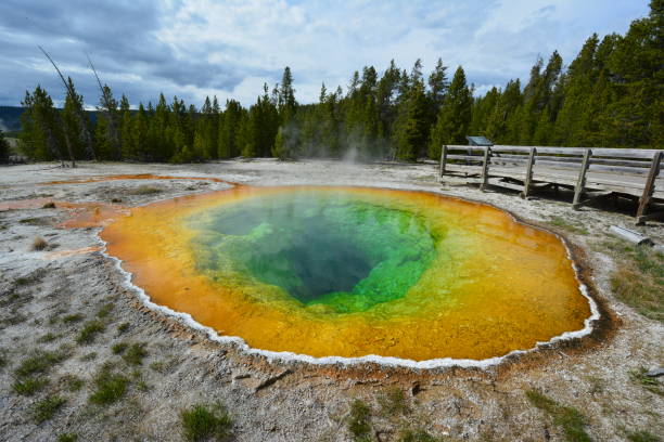 istock Morning Glory Pool at Yellowstone 539003148