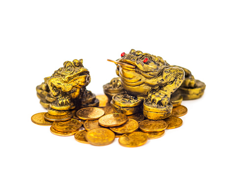 Close-up Photo of Chinese Money Frogs Isolated on White