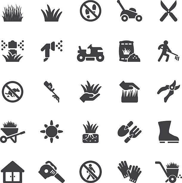 bildbanksillustrationer, clip art samt tecknat material och ikoner med grass silhouette icons | eps10 - välbärgad livsstil