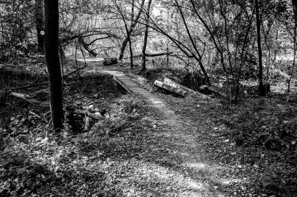 istock The Path To The Secret Garden? 539006252