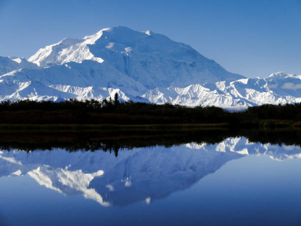 istock Denali (Mount McKinley) in Reflection Pond in Early Morning 539009102
