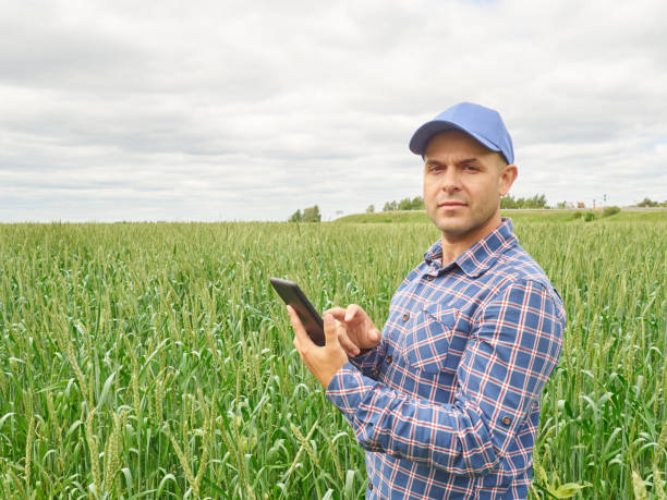 istock Farmer in plaid shirt controlled his field  looking at tablet 539010800