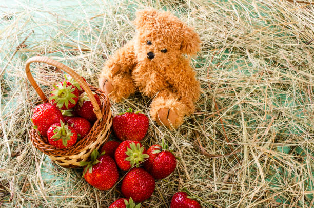 istock Strawberries in a basket among the straw. 539012576