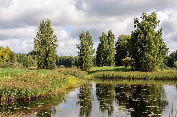 istock Rural landscape with small lake in Pushkinskiye Gory 539015142
