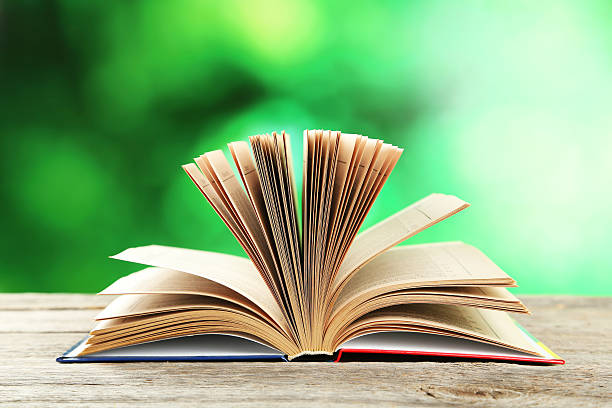 istock Open book on grey wooden background 539016461