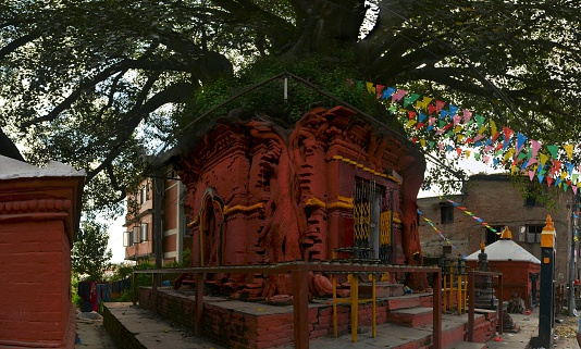 Hindu Tree shrine in Nepal's capital city Kathmandu