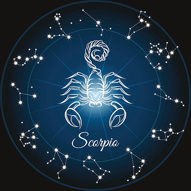 Zodiac sign scorpio Zodiac sign scorpio and circle constellations. Vector illustration. scorpio stock illustrations