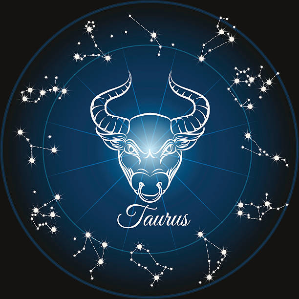 Zodiac sign taurus Zodiac sign taurus and circle constellations. Vector illustration virgo stock illustrations
