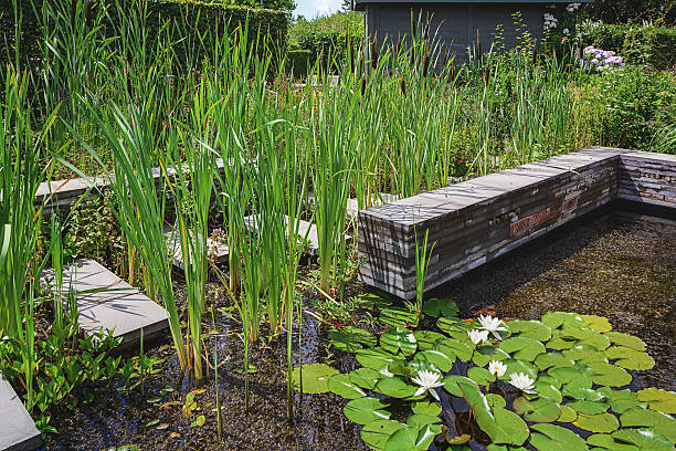 istock Beautiful garden idea in model gardens Appeltern, Nederland 539017492