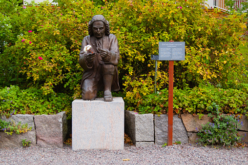 Stockholm, Sweden - October 4, 2010: The Carl Linnaeus statue in Scansen park of Stockholm. Sweden.