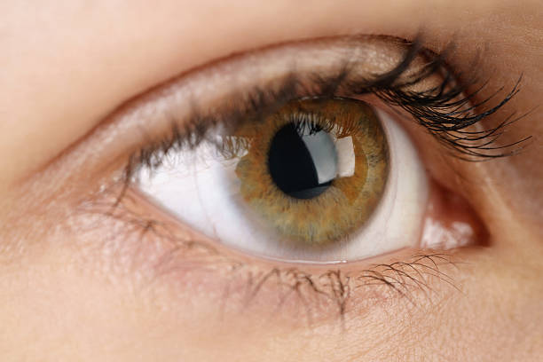 istock young female hazel eye with contact lens 539018420