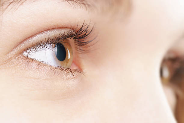 istock young female hazel eye with contact lens 539018536