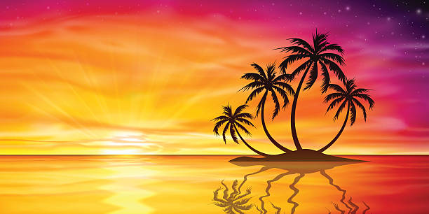 Sunset, Sunrise with Palm Tree vector art illustration