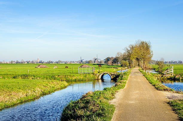 istock Colorful Dutch polder landscape in autumn 539021250