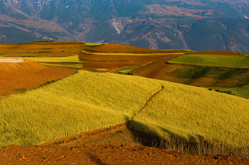 Dongchuan Red Land near Kunming. Wumeng Mountainous area. China.