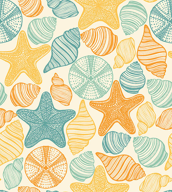 vector pattern with shells starfishes and urchins vector colored seamless hand-drawn background wit shells starfishes and urchins shell starfish orange sea stock illustrations