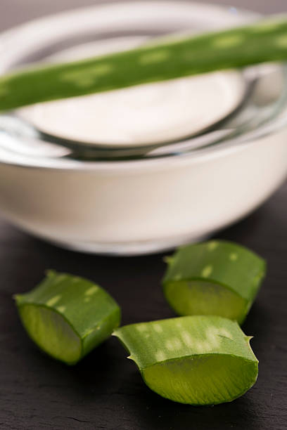istock aloe vera - leaves and cream 539026221