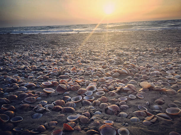 istock Herzliya beach, Tel Aviv, Israel 539026432