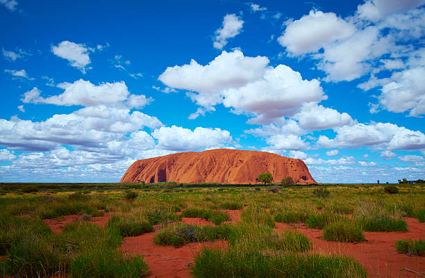 espetacular uluru, território do norte da austrália - unesco world heritage site day sunlight tree - fotografias e filmes do acervo