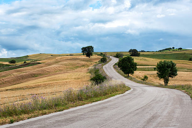 istock Asphalt road winding through hills 539028400
