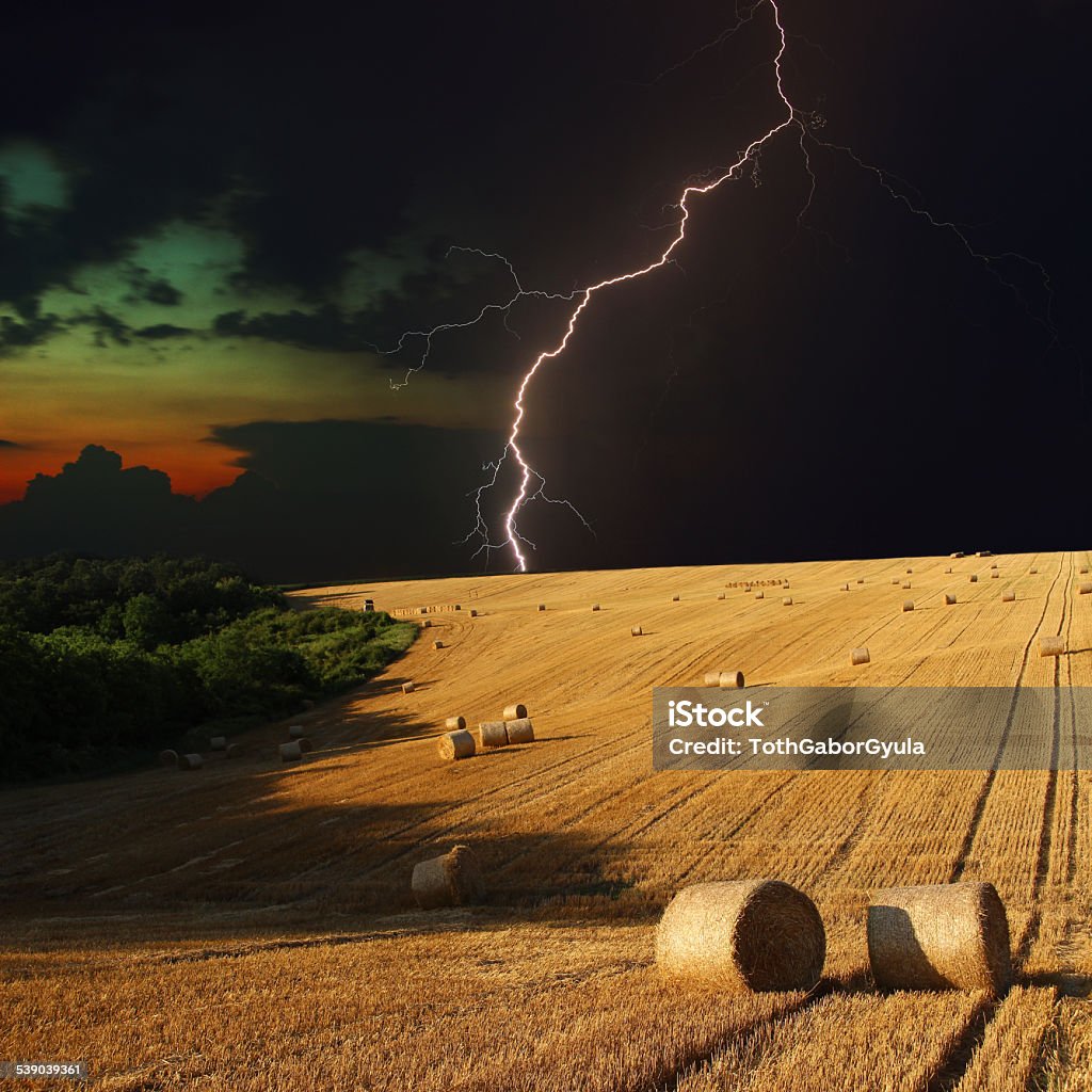 Summer meadow with lightning Bales in a barley field, with a lightning in the background Lightning Stock Photo