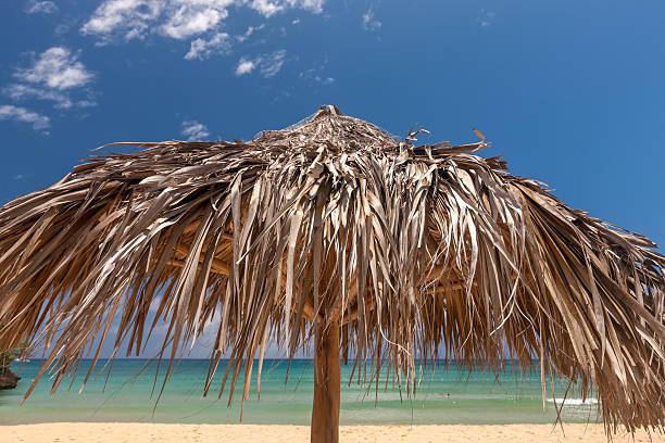 istock straw umbrella on a tropical beach 539041019