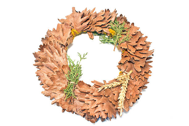 istock Wreath of oak leaves isolated on white 539041633