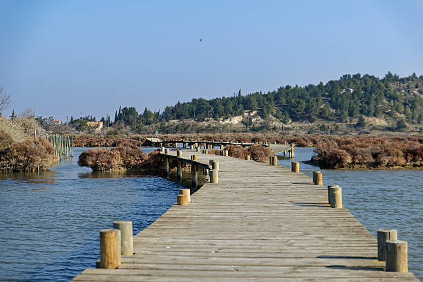 ponton, ponton en bois. - boardwalk pontoon bridge landscape sky 뉴스 사진 이미지