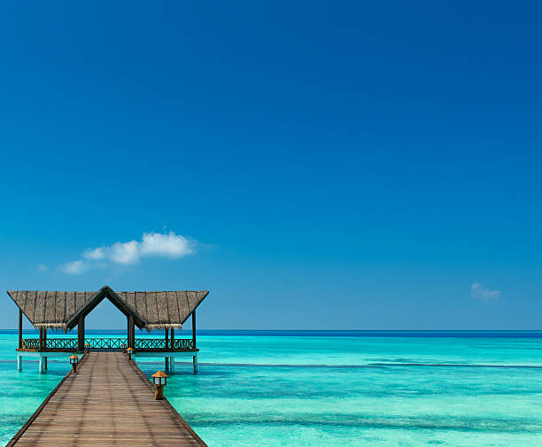 istock Bridge over the Indian Ocean 539056373
