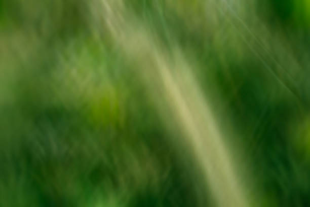 istock green color tone illustration for abstract background 539058949