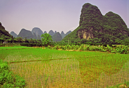 landscape near yangshuo